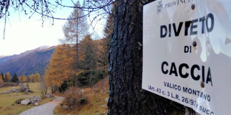 valico caccia